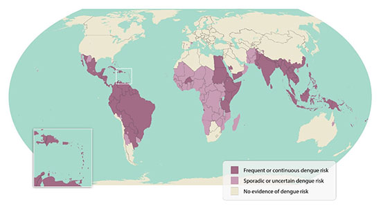 world map of dengue fever